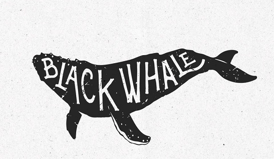 Black Whale – “Blind” il nuovo singolo tra riverberi ed emozioni